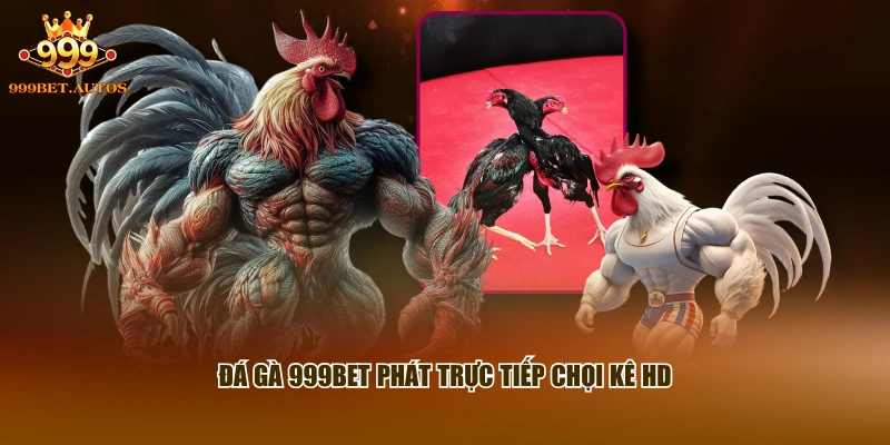Đá gà 999BET phát trực tiếp chọi kê HD